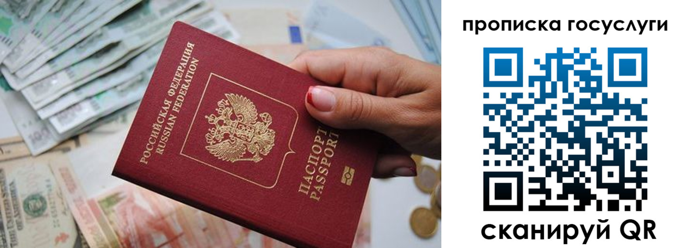 прописка поиск в Острове